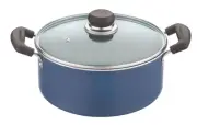 Vinod Zest Non-Stick Deep Casserole with Glass Lid, 18 cm 2.2 ltr- Free Delivery