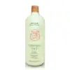 AVEDA 迷迭薄荷洗髮精 1000ML 航空版