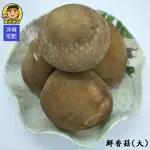 【蘭陽餐飲食材行】大中小鮮香菇 ( 約600克/包 ) 下單後才新鮮進貨 / 火鍋的好朋友 / 火鍋料 / 切片爆香 ( 此為冷藏宅配品號 )