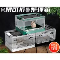 在飛比找蝦皮購物優惠-【叮咚倉鼠】倉鼠整理箱 寵物整理箱 倉鼠箱 倉鼠改造箱 倉鼠