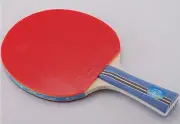 Decent 3-Star Ping Pong Racket Table Tennis Paddle Bat Or (Add Case,Other bat ..