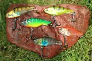 4 x 62mm New Soft Plastic Vibe, Redfin Bass Bream. Muzzas lures