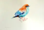 Rainbow Bird, Watercolor artwork, Handmade, Original painting on paper