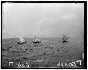 Photo:Dory race, I.H. Reg.