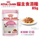 Royal Canin法國皇家 貓主食濕糧85g K36W幼貓 質地細緻營養更好吸收 貓飼料 貓餐包