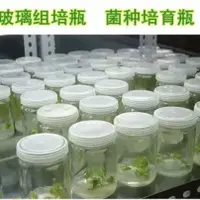 在飛比找蝦皮購物優惠-家用儲物餵直銷玻璃組培瓶綠植育苗瓶食用菌種瓶耐高溫實驗培養容
