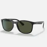 在飛比找蝦皮購物優惠-Ray-Ban 雷朋RB4374F 601/31太陽眼鏡全新