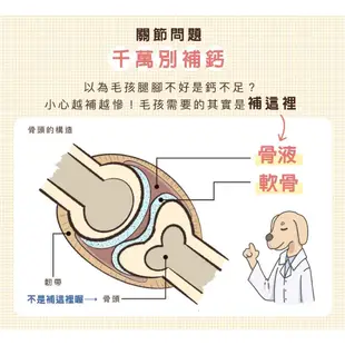 Sunny貓砂【骨優力關節保養液】(3瓶裝)