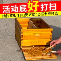 在飛比找蝦皮購物優惠-免運熱銷 蜂箱全套中蜂養蜂箱蜜蜂箱標準活底煮蠟七框十框養蜂工