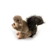 Squirrel Dog Toy Squeaky Interactive Plush