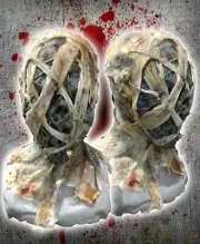 Anubus Mummy Mask