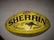 Brisbane Lions 2013 team signed sherrin football Yellow - includes Michael Voss