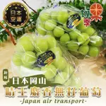 切果季-日本空運岡山晴王麝香無籽葡萄2房禮盒(每串550-600G)