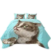 Cats Cute and Funny Faces Unsatisfied Kitten Coverlet
