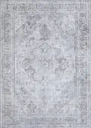 Euphrates Arbela Transitional Ash Rug