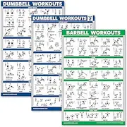 Palace Learning 3 Pack: Dumbbell Workouts Posters Volume 1 & 2 + Barbell Exercises - Set of 3 Workout Charts (LAMINATED, 18" x 24")