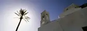 Low angle view of a palm tree near a church , Ios, Cyclades Islands, Greece Poster Print (18 x 7)