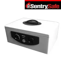 在飛比找PChome24h購物優惠-SENTRYSAFE手提安全金庫(ASB36)