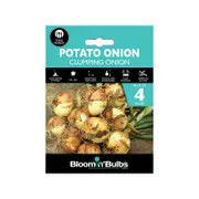 Bloomin' Bulbs Potato Onions - 4 Pack