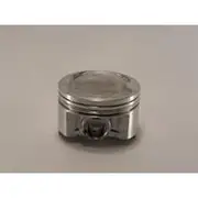 Austral Piston Set - PO850A 020