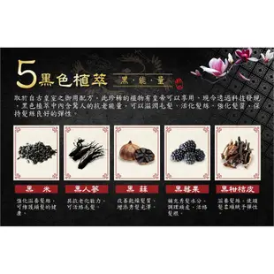 舒妃 東方黑護髮染髮霜 50ml x 2劑 遮蓋白髮專用 居家染髮 護髮染髮霜 現貨