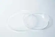 BULK - 400 x Petri dish for making agar plates, 90mm, sterile, gamma radiated