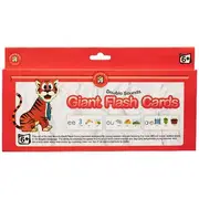 Learning Can Be Fun Double Sounds Giant Flash Cards