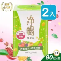 在飛比找PChome24h購物優惠-【大漢酵素】淨暢酵素錠 90粒/瓶 X 2瓶