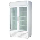Temperate Thermaster Double Glass Door Drink Fridge LED light LG-580P