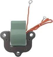 Ignition Coil for Johnson for Evinrude Outboard 50HP 65HP 70HP 75HP 85HP 115HP 135HP Motor Engines 18-5194 502890 582160 584632