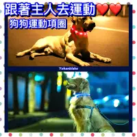 在飛比找蝦皮購物優惠-❤️跟著主人去運動❤️運動項圈 狗狗項圈 寵物項圈USB充電