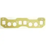 Platinum Extractor Gasket - HSM24