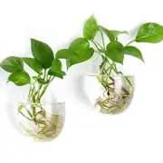 Wall Hanging Planter Flower Vase Plant Propagation Station for 2 Ellipse shape