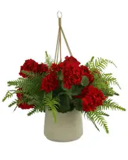 Creative Displays Red Geranium And Fern Floral Arrangement in A Hanging Basket