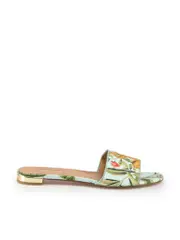 Turquoise Tropical Monkey Slides