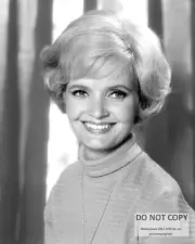 FLORENCE HENDERSON IN "THE BRADY BUNCH" - 8X10 PUBLICITY PHOTO (MW598)