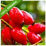 1L - ROSEHIP OIL ORGANIC (CHILE) - COLD PRESSED (VIRGIN) - 100% ORGANIC