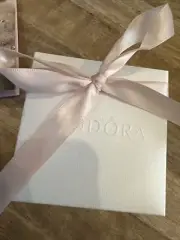 SILVER PANDORA charm bracelet! Brand new - 3 charms included