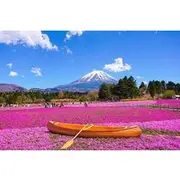Save 5.20%! Day Tour at Mt. Fuji, Kawaguchi Lake and Oshino Hakkai in Tokyo
