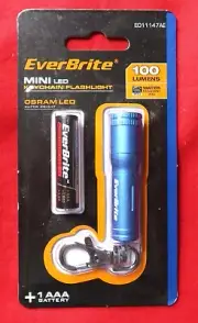Everbrite 100 Lumens Mini LED Keychain Blue Flashlight