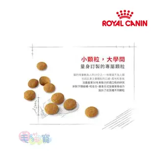 【法國皇家Royal Canin】絕育老貓專用乾糧2KG S30+12 毛貓寵