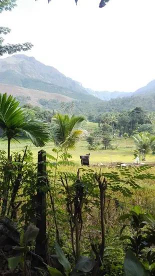 Green Agua lodge