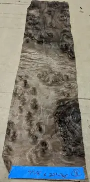 Walnut Burl wood veneer 7" x 27" raw no backing 1/42" thickness A+ quality grade
