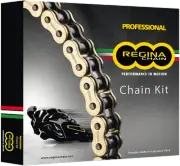 REGINA Chain and Sprocket Kit - Kawasaki - Vulcan Classic/Drifter - '96-'06
