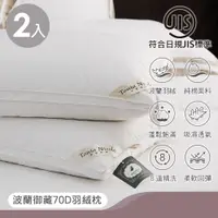 在飛比找PChome24h購物優惠-【Tonia Nicole 東妮寢飾】波蘭70D御藏羽絨枕(