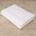 Luxton Home Japanese Shiki Futon Foldable Mattress Sleep Travel TwinLong