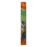Carnivorous Dinos Toob Mini Figures Safari Ltd NEW Toys Educational Figurines