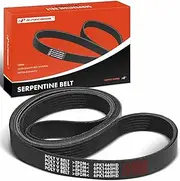 Serpentine Belt Replacement for Freightliner Columbia 2002-2003 Condor, 10.8L 14.6L Diesel