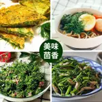 小茴香種子迴香籽陽臺蔬菜種孑茴香菜種籽四季播種【四季園藝】