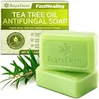 Antifungal Antibacterial Tea Tree Soap: Antifungal Antibacterial Treatment for F